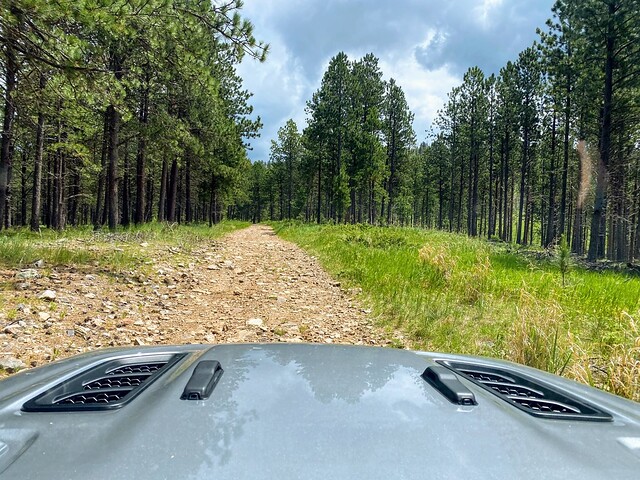 Some light off-roading through Custer