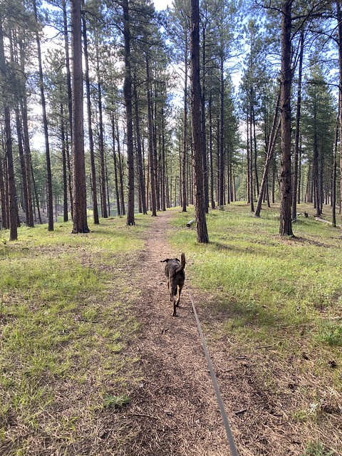 Goin for a little hike back at the campground