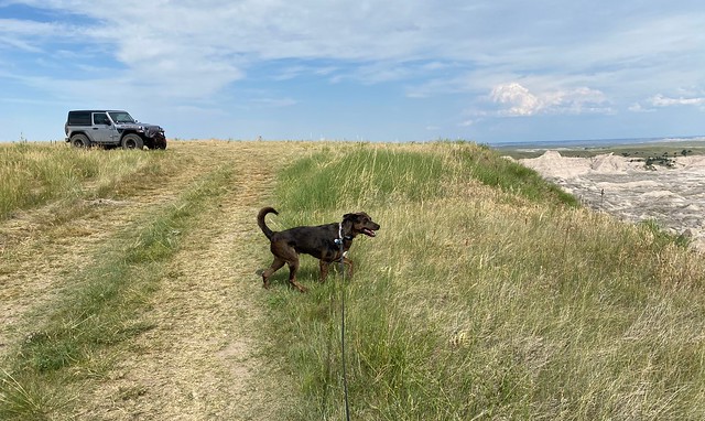 Hangin on this ledge