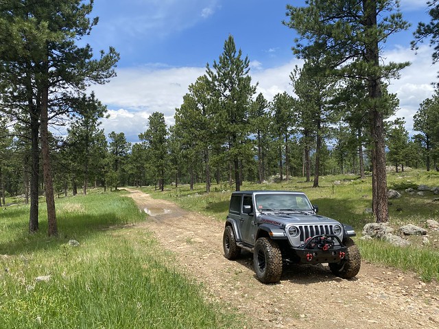 Found a little off-road trail through the hills in Custer
