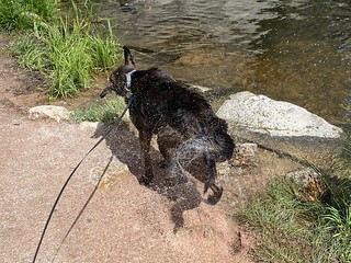 Benny Brooks - Wet boy
