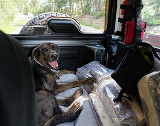 Benny Brooks - Happy boy