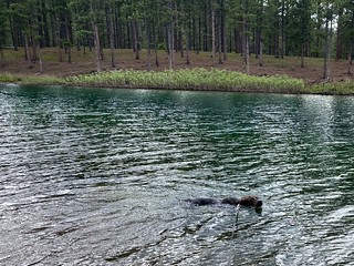 Benny Brooks - We've got a swimmer!