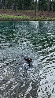 Benny Brooks - Swimmin boy
