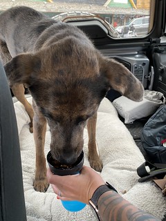 Benny Brooks - Havin some lunch