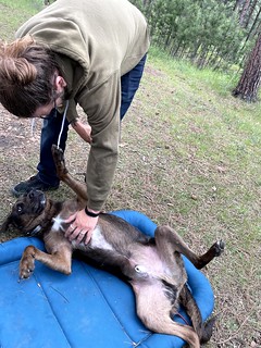 Benny Brooks - Campin boy