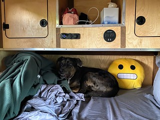 Benny Brooks - Scared of the storm