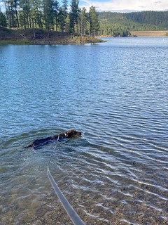 Benny Brooks - Takin another swim