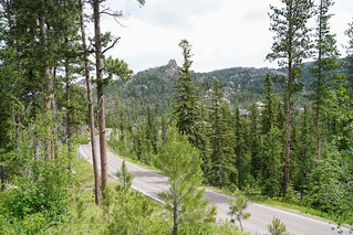 Needles highway