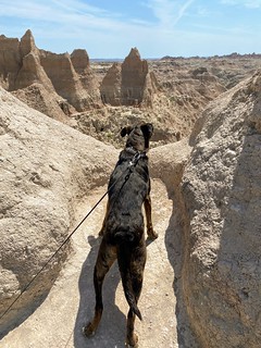 Benny Brooks - Gettin a good look at it