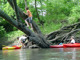 Kayaking - Tree Climbing