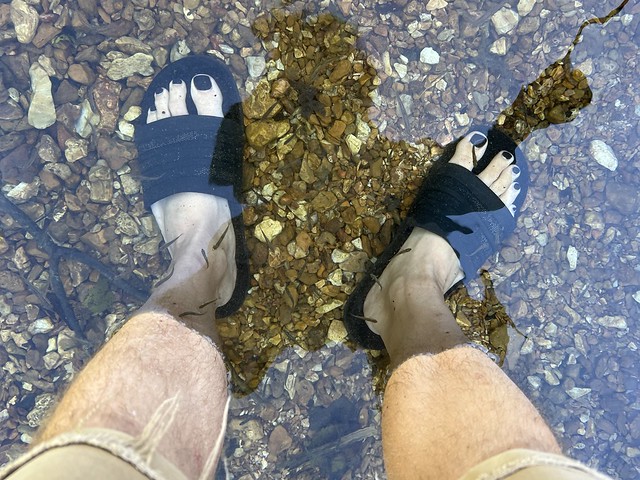 Baby fishies. Clear waters.