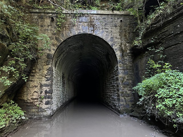 Nemo Tunnel