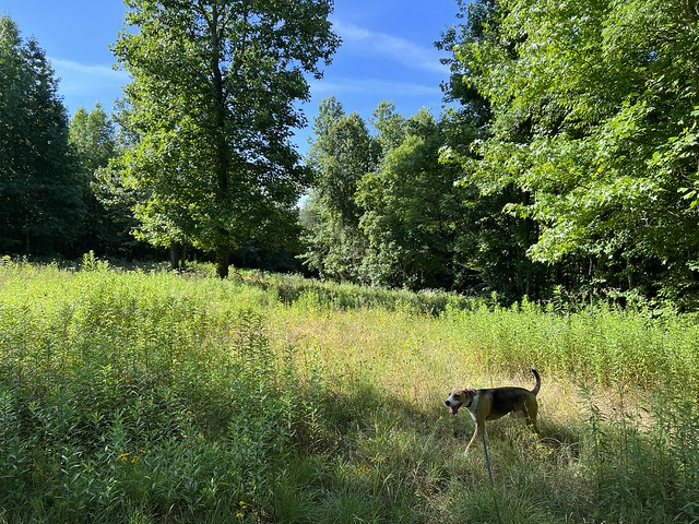 Exploring with Durby