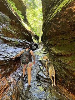 frame - Durby is really wondering why we are doing what we're doing