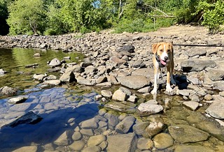 Durby is still not quite sure about water