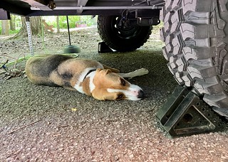 Stayin cool under the camper
