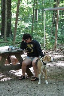 Mornin in the forest