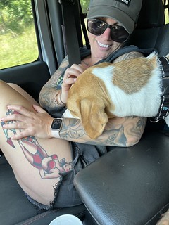 Driving - Road trip cuddles