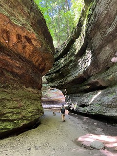 Hiking - Walking through Turkey Run Hollow