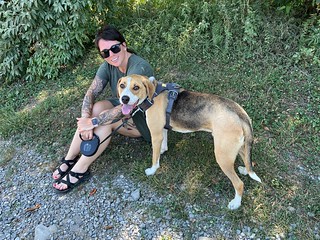 Patiently waiting for me to get the Jeep ready to ride some trails