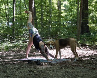 A lil yoga in the forest