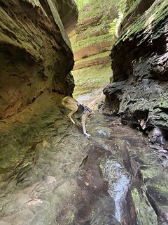 Hiking - Durby tries to turn around without getting his feet wet