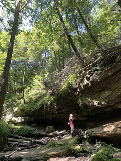 Shootin photos in the Turkey Run Hollows