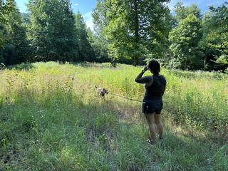 Walkin through a clearing behind our campground
