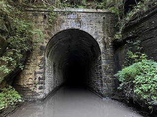 Tunnel - Nemo Tunnel