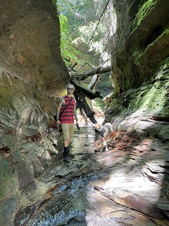 Hiking - Durby wants to know why we are hiking on these wet, slippery rocks