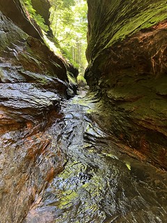 Hiking - Rocky Hollow