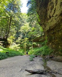 Hiking - A beautiful park