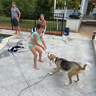 Daniel Emmitt - Tuggin with Durby