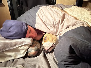 Durby - Camping with this dog is ridiculous