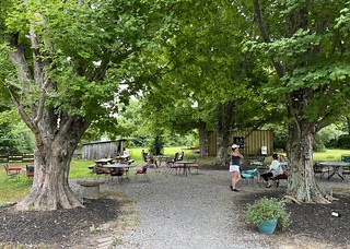 The back yard of this brewery