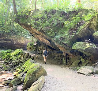 Hiking - Hiking around Turkey State Park