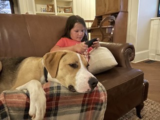 Cara Emmitt - Durby liked cuddling with the kids