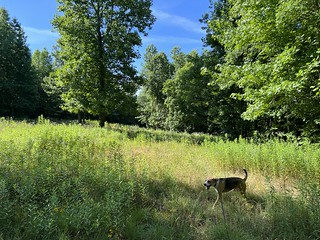 Exploring with Durby