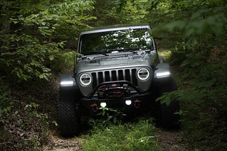 Off-roading - Just drivin through these woods