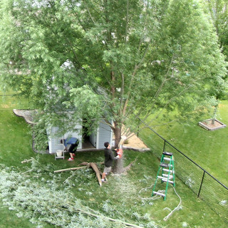 Germ making the final cut