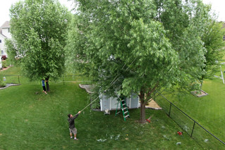 Pulling down branches