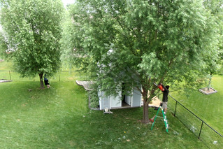 Running ropes while Germ mans the chainsaw