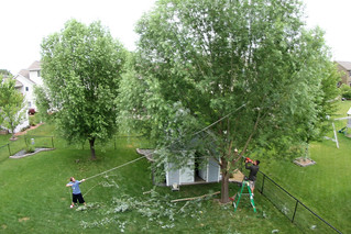 Running ropes while Germ mans the chainsaw