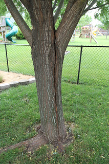 The split from the North side