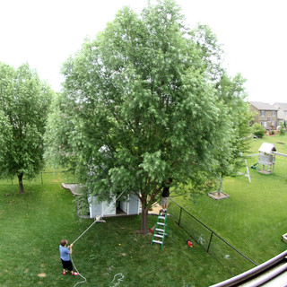 Running ropes while Germ mans the chainsaw