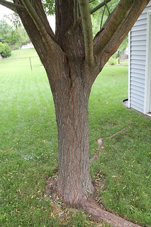 The split from the South Side