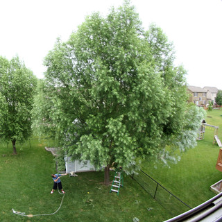 Running ropes while Germ mans the chainsaw