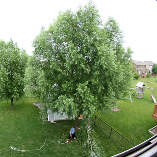 Pulling down branches