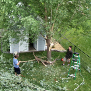 Accidentally, peeled back a bit of bark on the second to last cut. Bummer.